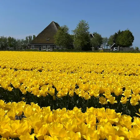 B&B Idylle Aan Zee Incl 2 Wellnessstudios-2
