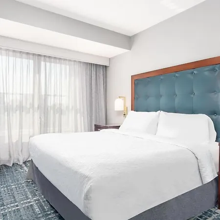 Homewood Suites By Hilton Lexington Fayette Mall-3