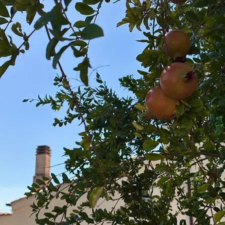 Hotel Masseria Marziale-2