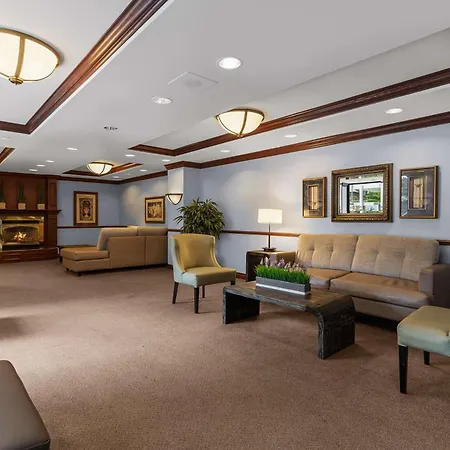 Best Western Ville-Marie Montreal Hotel&Suites-3