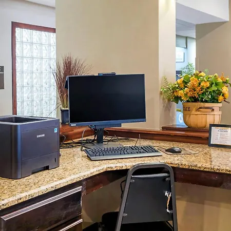Comfort Suites North Dallas-3