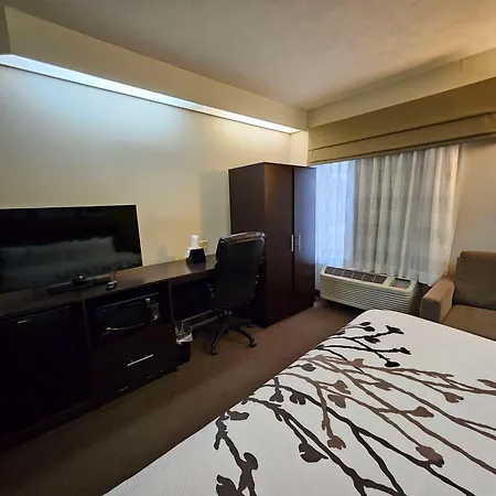 Surestay By Best Western Summerville Flowertown-2