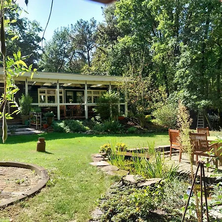Bosgeluk-3