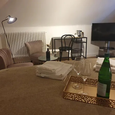 Boutique Hotel Villa Horbach-3