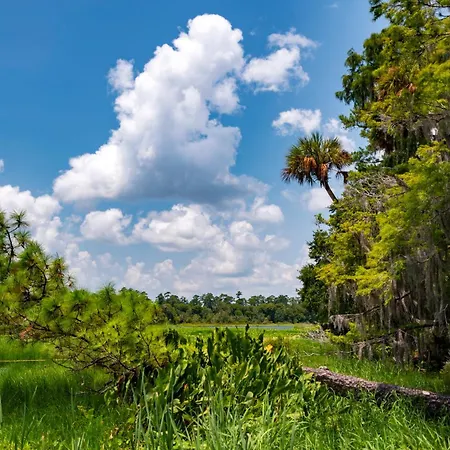 Holiday Inn Express And Suites Silver Springs - Ocala By Ihg-2