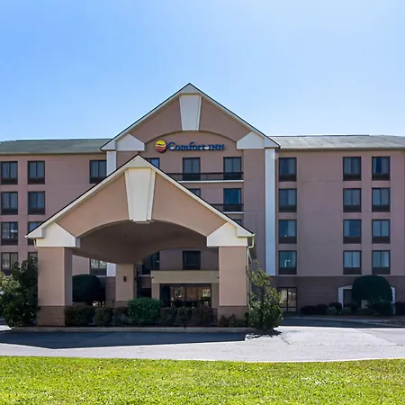 Comfort Inn Pensacola - University Area-3