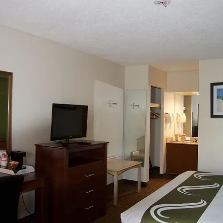 Surestay Hotel By Best Western St Pete Clearwater Airport-3