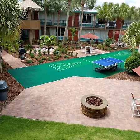 Magic Tree Resort-3
