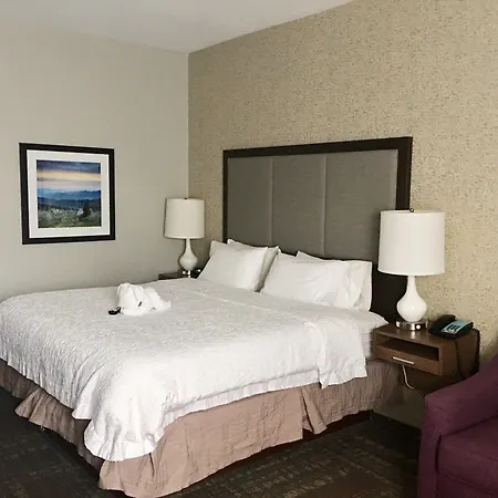 Hampton Inn Sevierville-2