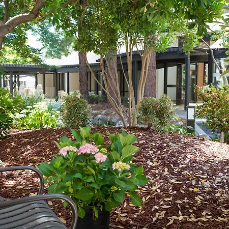 Sheraton Palo Alto Hotel-3