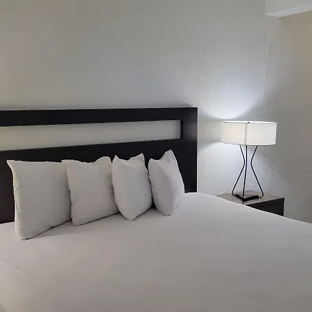 Vivo Flex Living Torrance-2