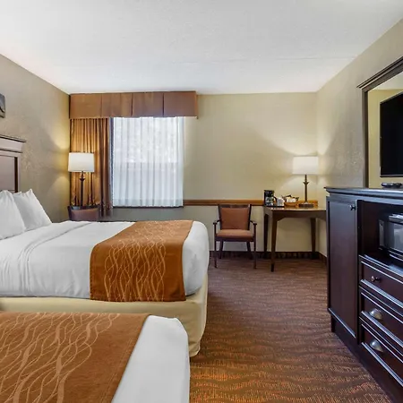 Comfort Inn At Thousand Hills-2