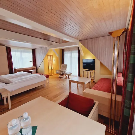 Engimatt City & Garden Hotel-3