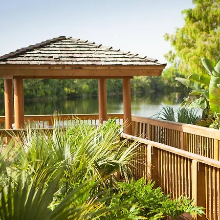 Marriott Orlando Airport Lakeside-2