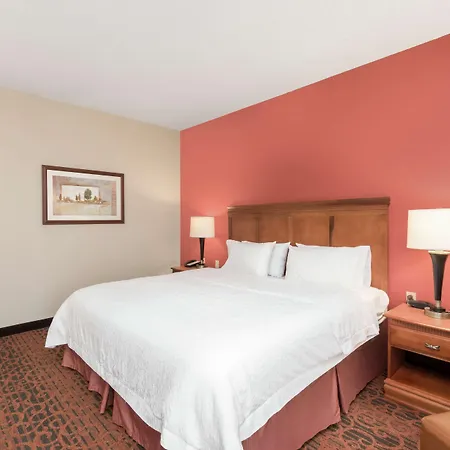 Hampton Inn Branson On The Strip-3