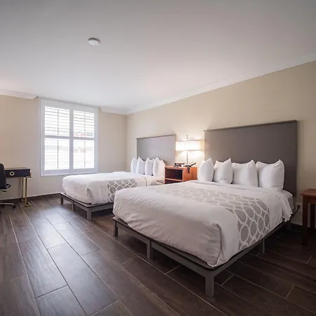 Equus Inn I75-3
