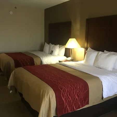 Comfort Inn Lexington I-75-3