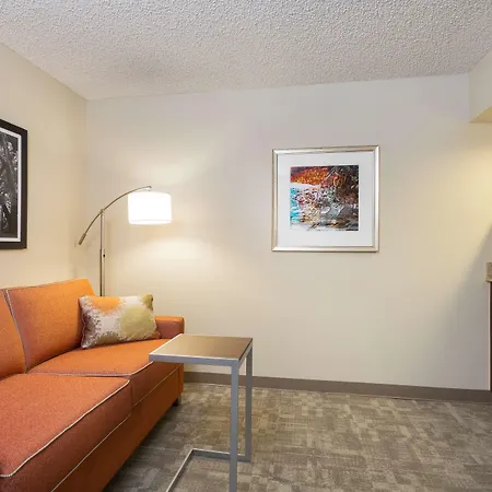 Hampton Inn Houston Near The Galleria-3