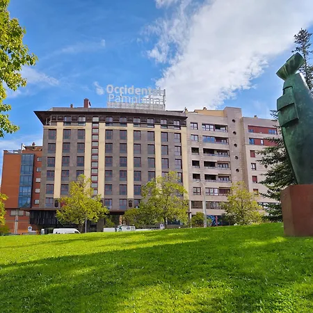 Occidental Pamplona-2