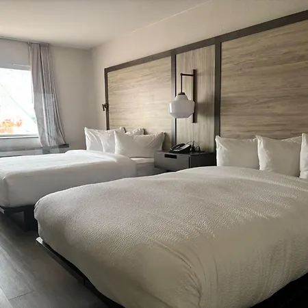 Fairfield Inn & Suites Corpus Christi-3
