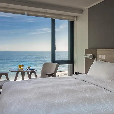 Pullman Vina Del Mar San Martin-2
