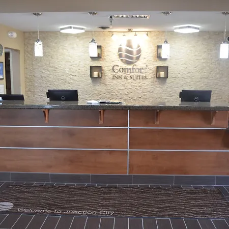 Comfort Inn & Suites Junction City - Near Fort Riley-3