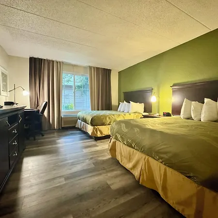 Quality Inn & Suites Alexandria-3