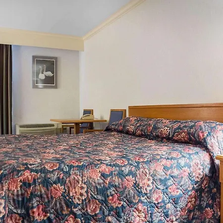 Econo Lodge By The Falls-3