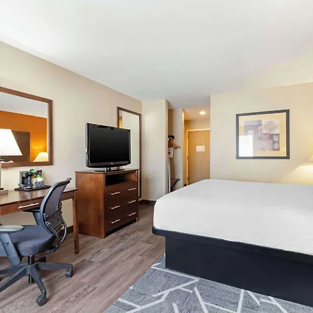 Best Western Inn & Suites New Braunfels-3