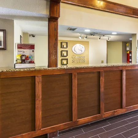 Comfort Suites Near I-80 And I-94-3