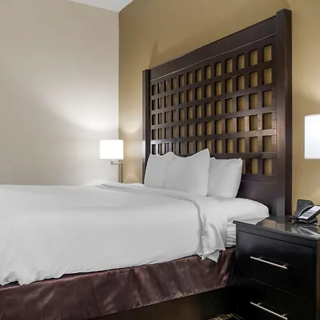 Comfort Inn Sherman - Denison Area-2