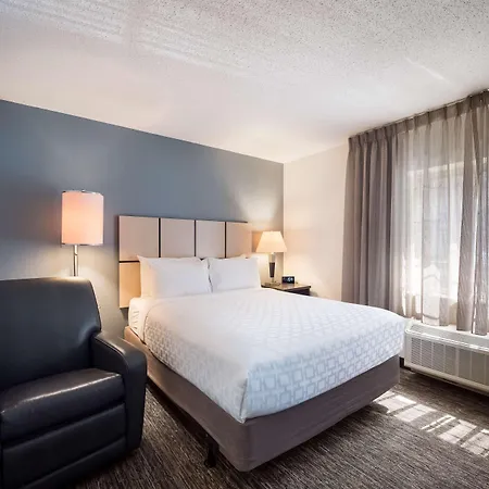 Sonesta Simply Suites Plano Frisco-2