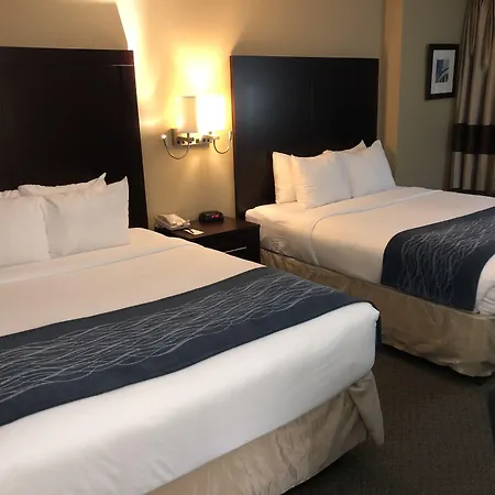 Comfort Inn Pentagon City-3