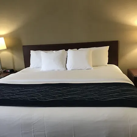 Comfort Inn-3