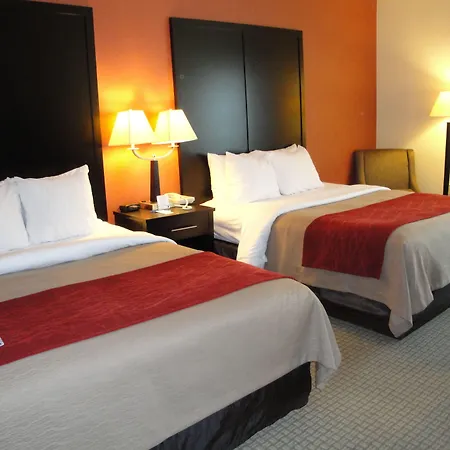 Comfort Inn & Suites York North-3