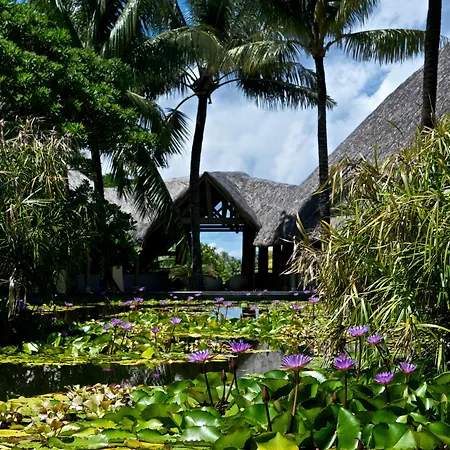 Westin Bora Bora Resort & Spa-3