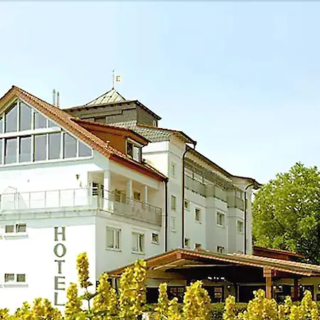 Hotel Heidelberg-3