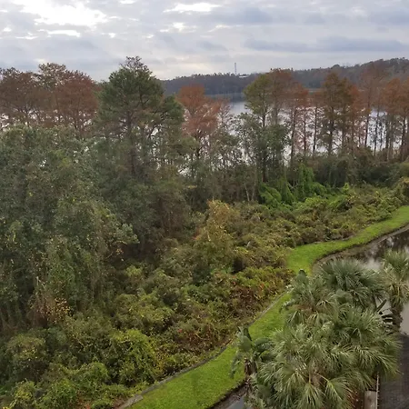 Homewood Suites By Hilton Orlando Maitland-3