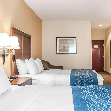 Comfort Inn & Suites Hamburg - Buffalo South-3