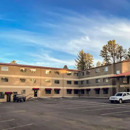 Comfort Inn & Suites Midtown-3