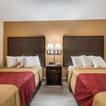 Econo Lodge Cullman South-2
