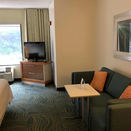 Springhill Suites West Mifflin-2