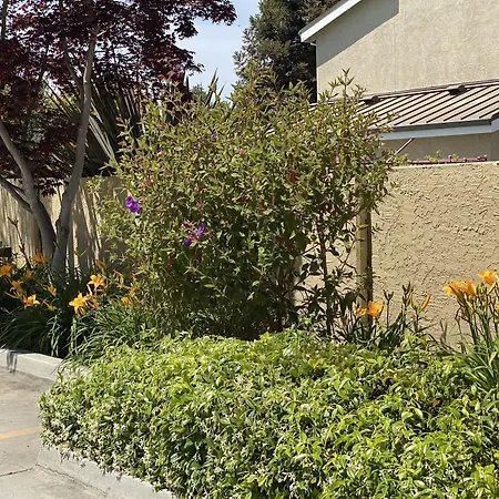 Holiday Inn Express Redwood City Central By Ihg-3