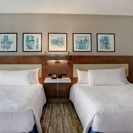 Hilton Garden Inn Kansas City/Kansas-3