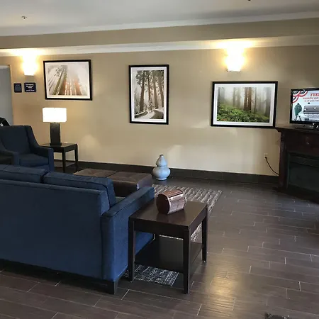 Comfort Suites Visalia - Convention Center-3
