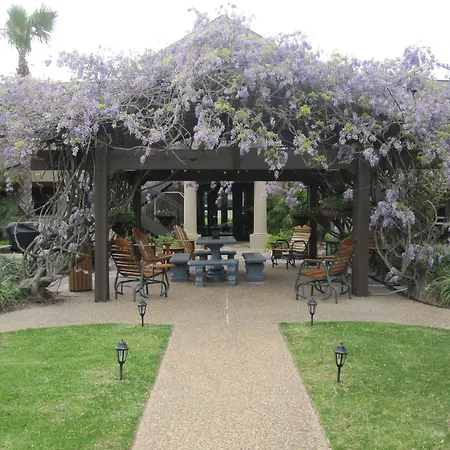 Vineyard Court Designer Suites Hotel-3