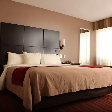 Comfort Inn Los Angeles Near Hollywood-3