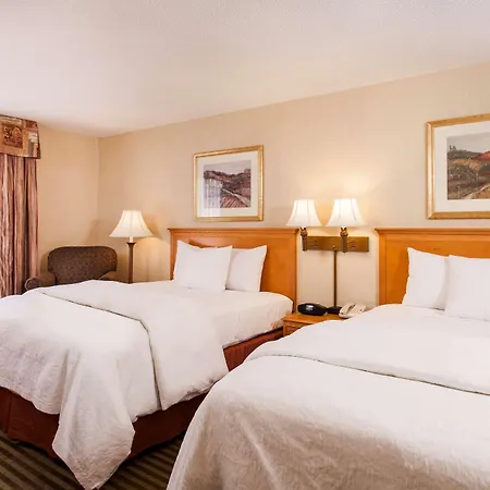 Hampton Inn & Suites Addison-3