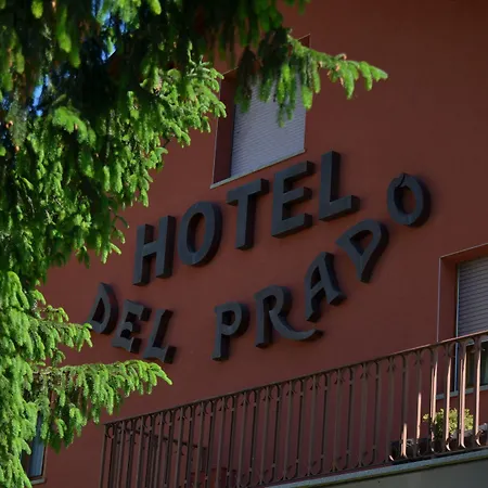 Hotel Del Prado-3