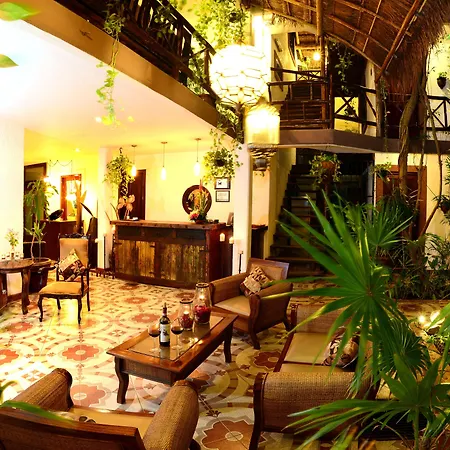 Posada Mariposa Boutique Hotel - 5Th Avenue-3